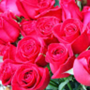 Meet your Posher, Paula